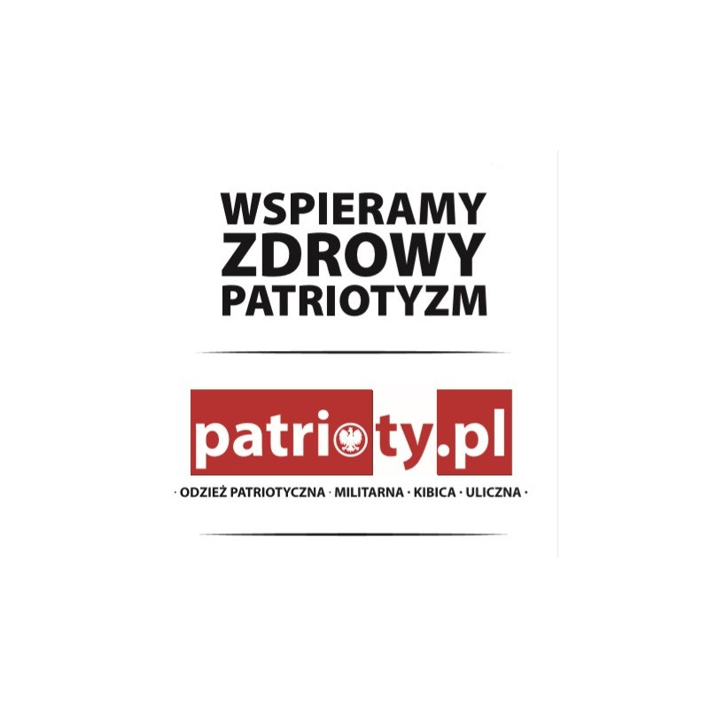 Bluza patriotyczna Husaria Orły Polskie szara