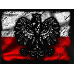 Bluza patriotyczna Polska Flaga